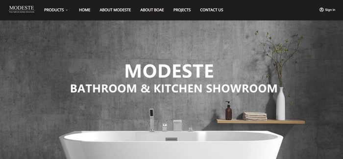 Modeste Pte Ltd - Website